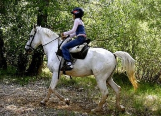 Recorre la region a caballo